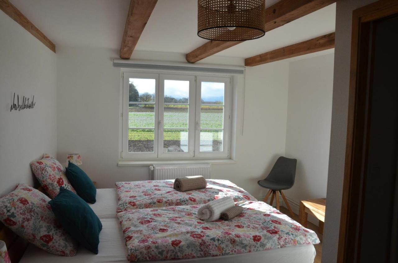 Vila Domaine Des 4Roses -Spa Et Serenite Furdenheim Exteriér fotografie